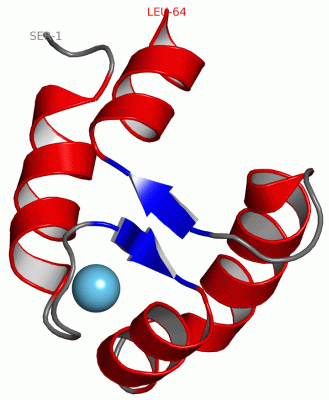 Image NMR Structure - manually