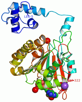 Image Asym./Biol. Unit - manually