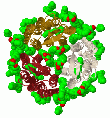 Image Biol.Unit 1 - manually