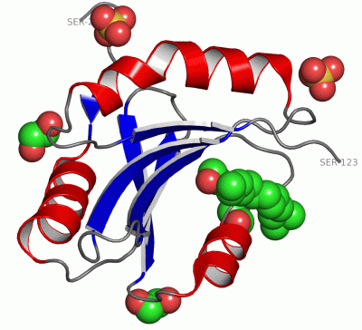 Image Asym./Biol. Unit - manually