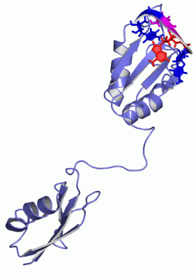 Image NMR Structure - manually