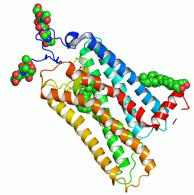 Image Asym./Biol. Unit - manually