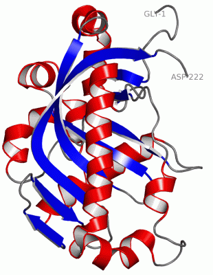 Image NMR Structure - manually