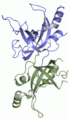 Image Asym./Biol. Unit - manually