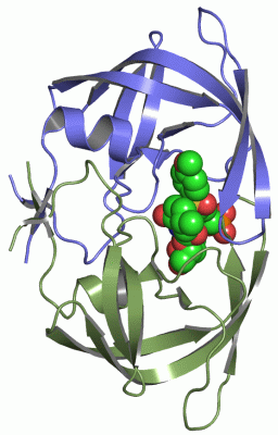 Image Asym./Biol. Unit - manually