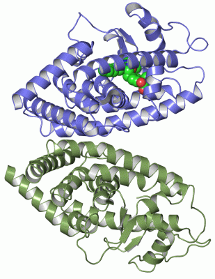 Image Asym./Biol. Unit - manually