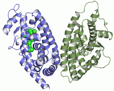 Image Asym./Biol. Unit - manually