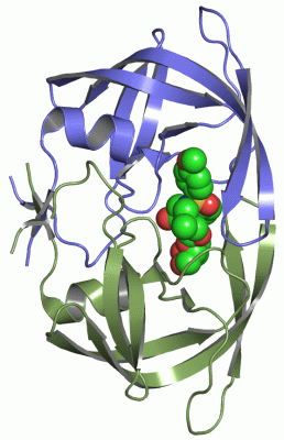 Image Asym./Biol. Unit - manually