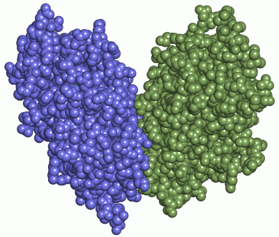 Image Asym./Biol. Unit - manually