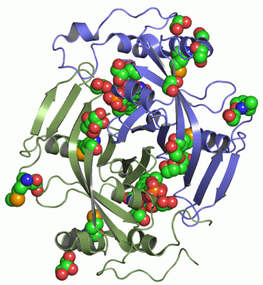 Image Asym./Biol. Unit - manually