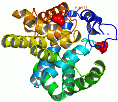 Image Asym./Biol. Unit - manually