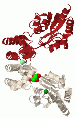 Image Biol.Unit 1 - manually