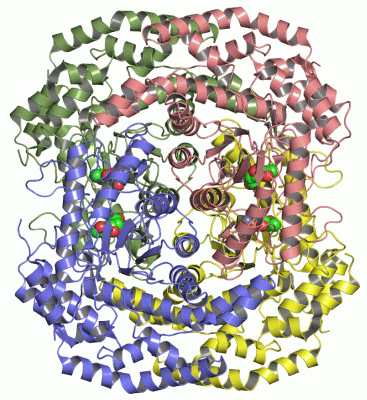 Image Asym./Biol. Unit - manually