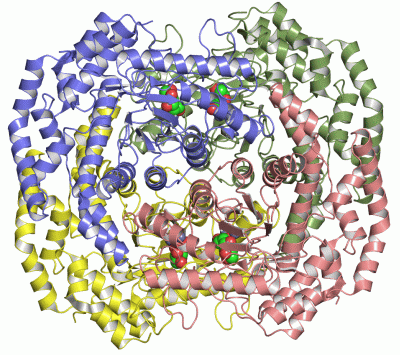 Image Asym./Biol. Unit - manually