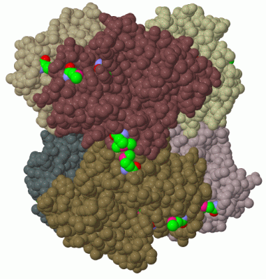 Image Biol.Unit 1 - manually