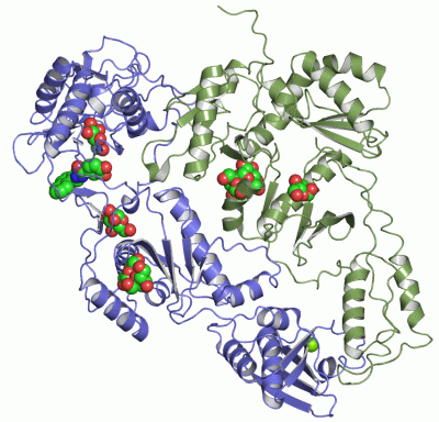 Image Asym./Biol. Unit - manually