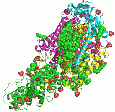 Image Asym./Biol. Unit - manually