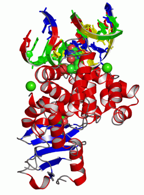 Image Asym./Biol. Unit - manually