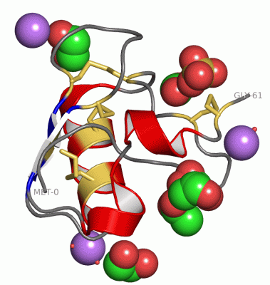 Image Asym./Biol. Unit - manually