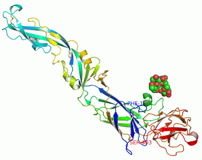 Image Asym./Biol. Unit - manually