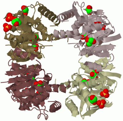 Image Biol.Unit 1 - manually