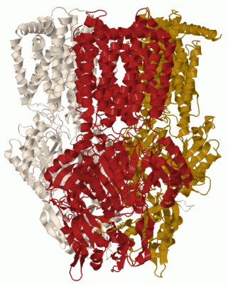 Image Biol.Unit 1 - manually