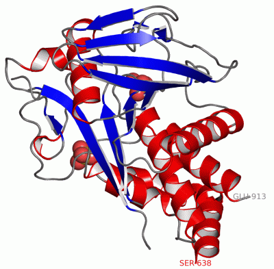 Image Asym./Biol. Unit - manually