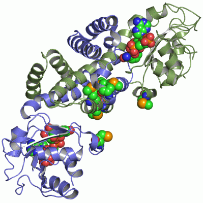 Image Asym./Biol. Unit - manually