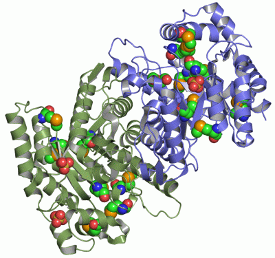 Image Asym./Biol. Unit - manually