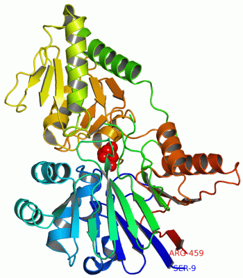 Image Asym./Biol. Unit - manually