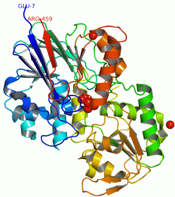 Image Asym./Biol. Unit - manually