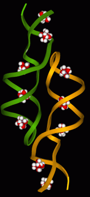 Image NMR Structure - manually