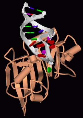 Image Biol.Unit 1 - manually