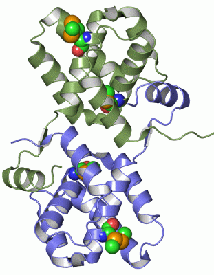 Image Asym./Biol. Unit - manually