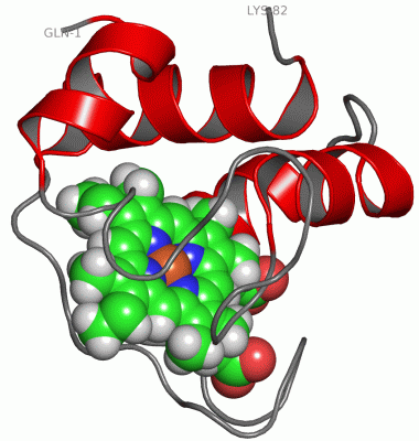 Image NMR Structure - manually