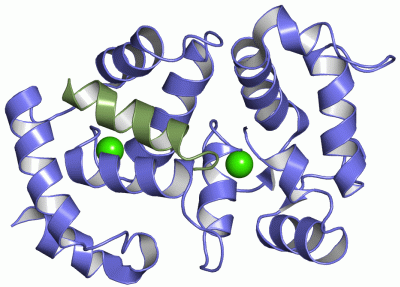 Image NMR Structure - manually