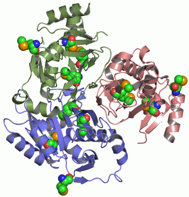 Image Asym./Biol. Unit - manually