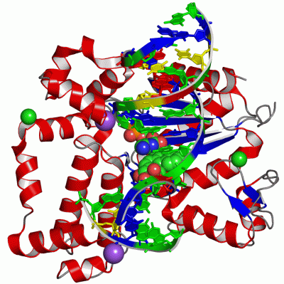 Image Asym./Biol. Unit - manually