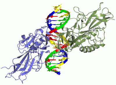 Image Asym./Biol. Unit - manually