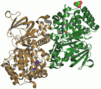 Image Asym./Biol. Unit - manually