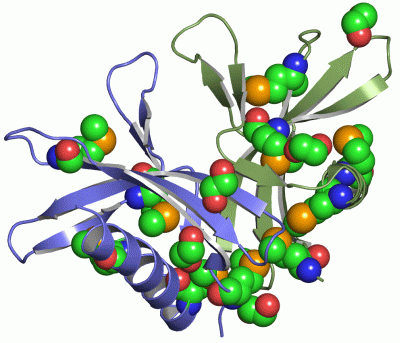 Image Asym./Biol. Unit - manually