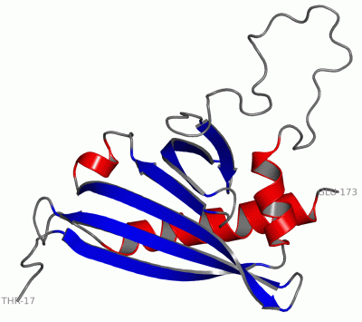 Image NMR Structure - manually