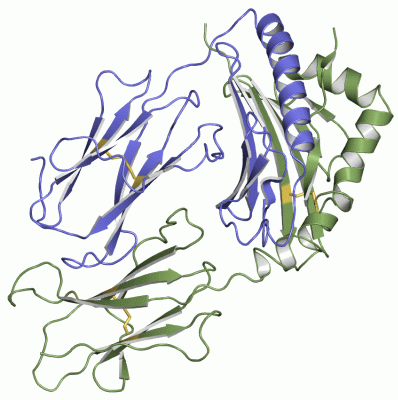 Image Asym.Unit - manually