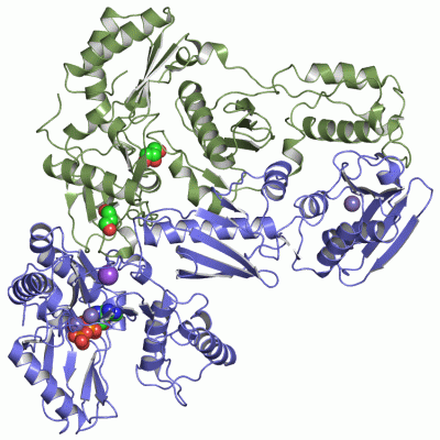 Image Asym./Biol. Unit - manually