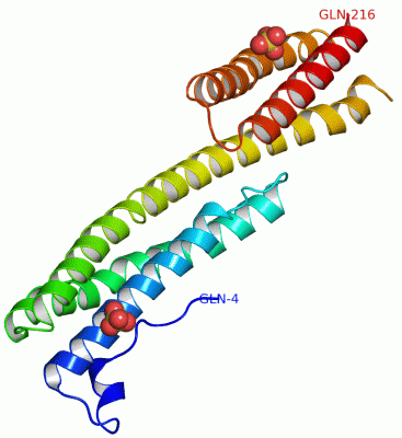 Image Asym.Unit - manually