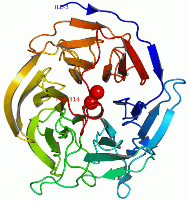 Image Asym./Biol. Unit - manually