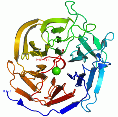 Image Asym./Biol. Unit - manually