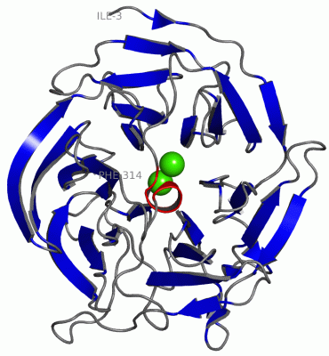 Image Asym./Biol. Unit - manually