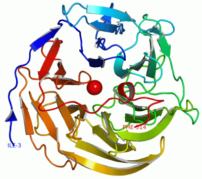 Image Asym./Biol. Unit - manually