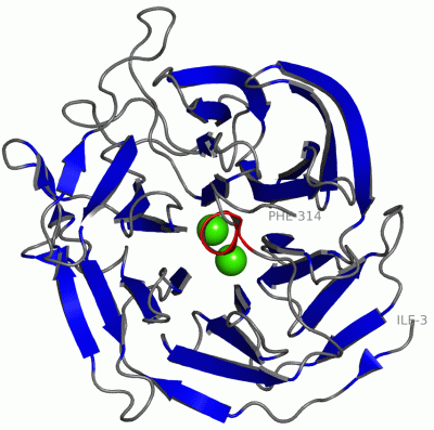 Image Asym./Biol. Unit - manually